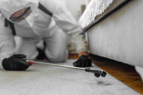 Professional Pest Control technician working in Columbiana County County, OH
